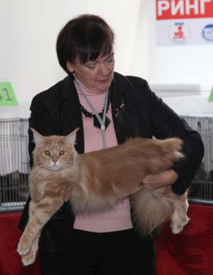 �������� ����� '������� ���-�����' 30 ������-1 ������� 2013., WCF-����� 2643